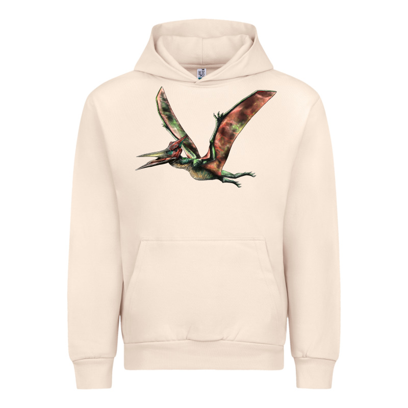 Pteranodon Urban Hoodie by LillyAllenDesigns | Teevron