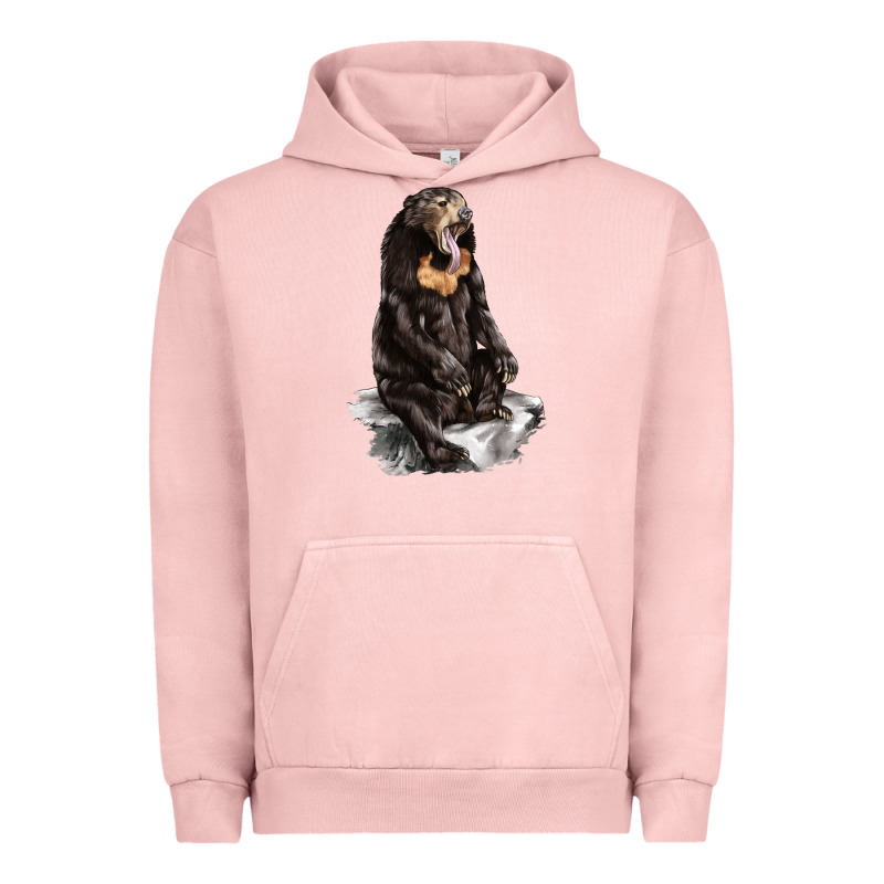 Malayan Sun Bear Urban Hoodie by LillyAllenDesigns | Teevron