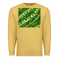 Antique Gold St. Patrick's Day leopard tumbler Premium Sweatshirt - Neo Western