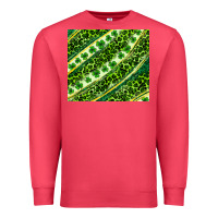 Cardinal St. Patrick's Day leopard tumbler Premium Sweatshirt - Neo Western