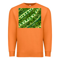 Carrot St. Patrick's Day leopard tumbler Premium Sweatshirt - Neo Western