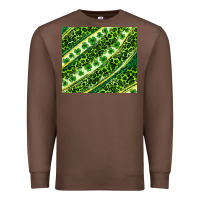 Chestnut St. Patrick's Day leopard tumbler Premium Sweatshirt - Neo Western