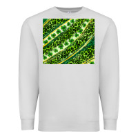 Dove Grey St. Patrick's Day leopard tumbler Premium Sweatshirt - Neo Western