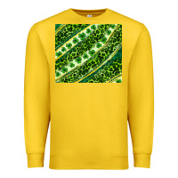 Lemon St. Patrick's Day leopard tumbler Premium Sweatshirt - Neo Western