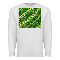 Oatmeal Heather St. Patrick's Day leopard tumbler Premium Sweatshirt - Neo Western