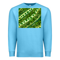 Ocean Blue St. Patrick's Day leopard tumbler Premium Sweatshirt - Neo Western
