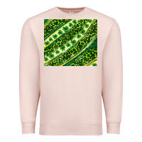 Pale Pink St. Patrick's Day leopard tumbler Premium Sweatshirt - Neo Western