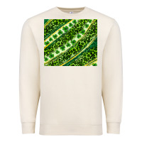Sandshell St. Patrick's Day leopard tumbler Premium Sweatshirt - Neo Western