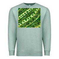 Seafoam St. Patrick's Day leopard tumbler Premium Sweatshirt - Neo Western