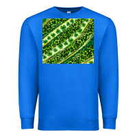 True Royal St. Patrick's Day leopard tumbler Premium Sweatshirt - Neo Western