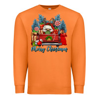 Carrot merry christmas gnomes truck Premium Sweatshirt - FaDigitalArtStudio