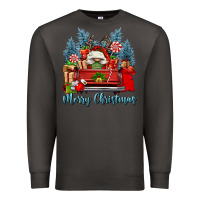 Smoke merry christmas gnomes truck Premium Sweatshirt - FaDigitalArtStudio