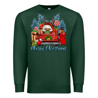 Sports Green merry christmas gnomes truck Premium Sweatshirt - FaDigitalArtStudio