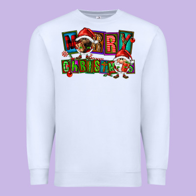 Merry Christmas Gnomies Premium Sweatshirt Designed By Fadigitalartstudio