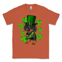 Copper st. patricks day lucky dachshund puppy Classic Tee - RanaPortraitStore