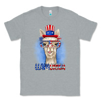 Heather Grey llamerica Classic Tee - RanaPortraitStore