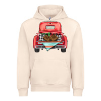 Sandshell Christmas truck Urban Hoodie - BarkalooDesign
