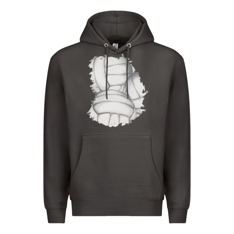 2 Volleyball Patch Premium Hoodie by AdoDesignShop | Teevron