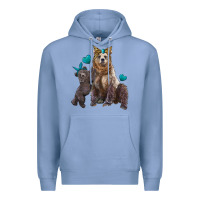 Colony Blue mama bear and baby bear Premium Hoodie - Artiststas