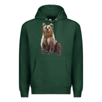 Sports Green bear Premium Hoodie - Artiststas