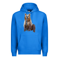 True Royal bear Premium Hoodie - Artiststas