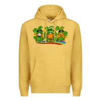St Patricks Day Gnomes Shamrock Gold Rainbow Premium Hoodie | Teevron