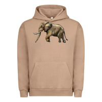 Pigment Burro Elephant Urban Hoodie - LillyAllenDesigns