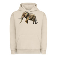 Pigment French Oak Elephant Urban Hoodie - LillyAllenDesigns