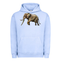 Pigment Grape Ice Elephant Urban Hoodie - LillyAllenDesigns
