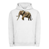 Pigment Lunar Rock Elephant Urban Hoodie - LillyAllenDesigns