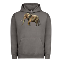 Pigment Tornado Elephant Urban Hoodie - LillyAllenDesigns