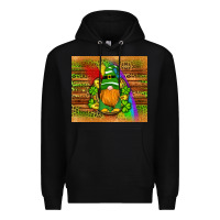 Black st patricks gnomes rainbow Premium Hoodie - Artiststas