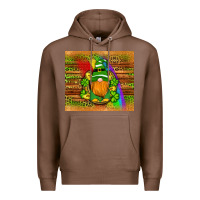 Chestnut st patricks gnomes rainbow Premium Hoodie - Artiststas