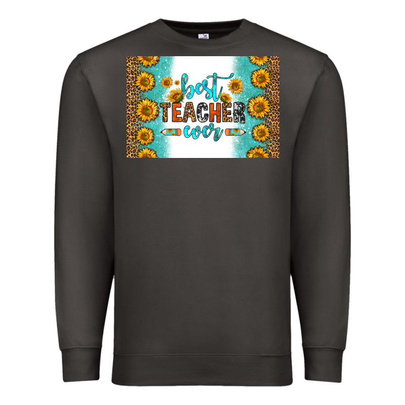 Best Teacher Ever Skinny Metal Can Holder Premium Sweatshirt by HRA Design Shop | Teevron