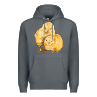 Rock chicks Premium Hoodie - Artiststas