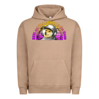 Pigment Burro doge coin hodl on we're going to the moon retro sunset Urban Hoodie - Jasminsmagicworld