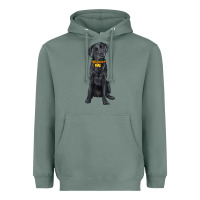 Sage labrador retriever with overflow Heavyweight Hoodie - texasbilliewilder