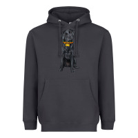 Smoke labrador retriever with overflow Heavyweight Hoodie - texasbilliewilder
