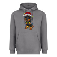 Storm dachshund puppy christmas lights Heavyweight Hoodie - RanaPortraitStore