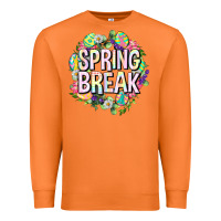 Carrot Spring break Easter Premium Sweatshirt - Neo Western