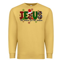 Jesus The Season For The Season Premium Sweatshirt | Teevron