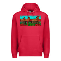 Cardinal horses roses ann cactuses license plate Premium Hoodie - Artiststas