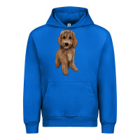 Cobalt maltipoo Urban Hoodie - BarkalooDesign