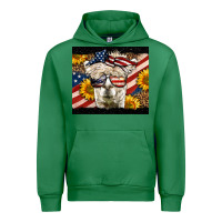 Emerald Western 4th Of July Llama Background Urban Hoodie - LillyAllenDesigns