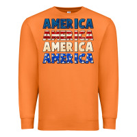 Carrot America 4th of July Premium Sweatshirt - CowGirlArtShop