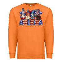 Carrot America gnomes 4th of July Premium Sweatshirt - CowGirlArtShop