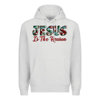Dove Grey jesus is the reason Premium Hoodie - AdoDesignShop