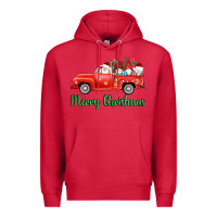 Cardinal merry christmas truck gnomes Premium Hoodie - AdoDesignShop