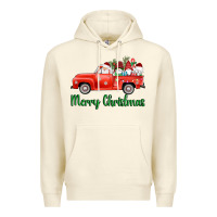Sandshell merry christmas truck gnomes Premium Hoodie - AdoDesignShop