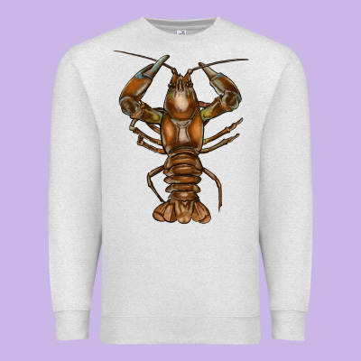 Crawfish Premium Sweatshirt Designed By Fadigitalartstudio
